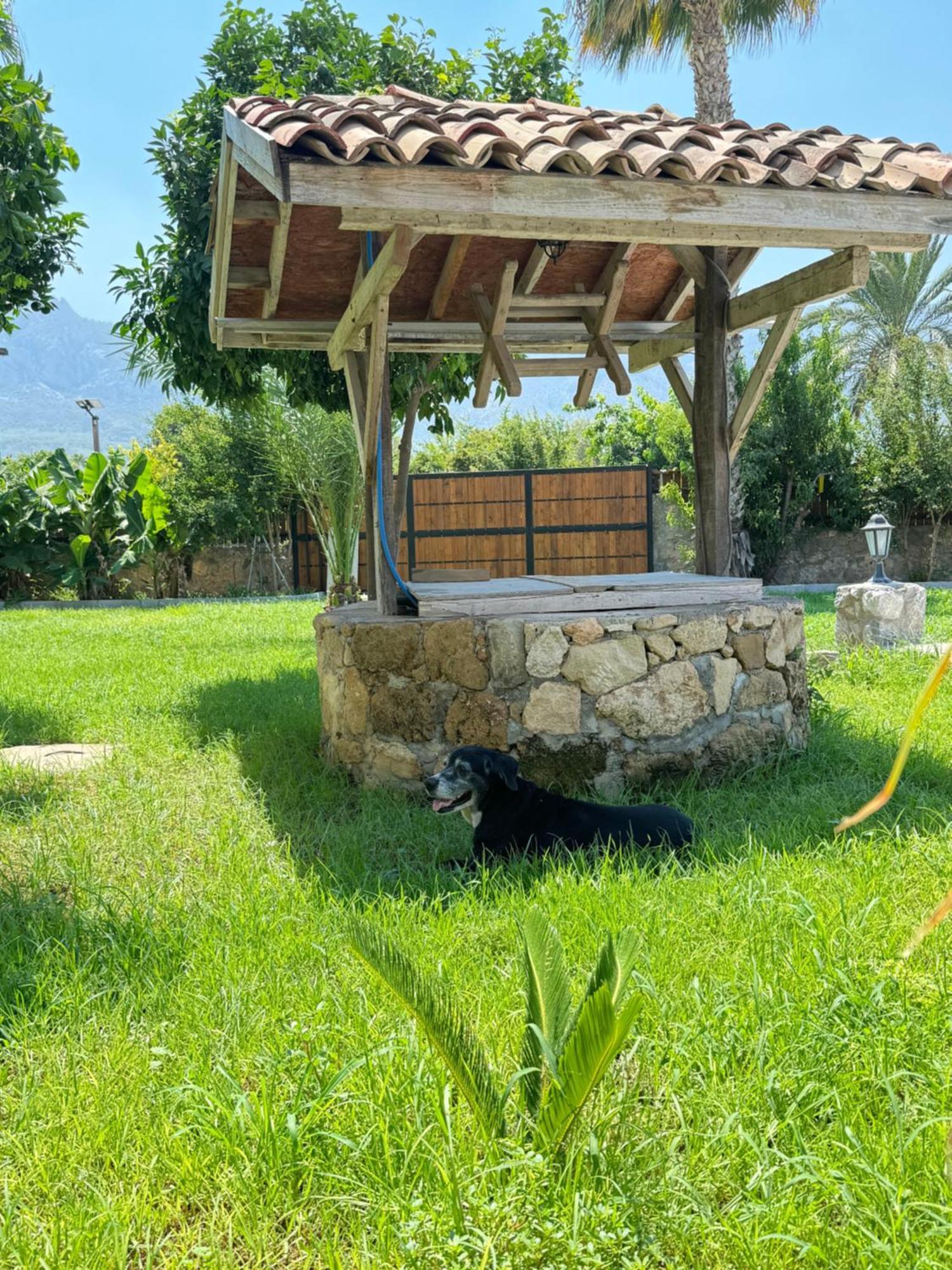 The Horse Farm Hotel Agios Georgios  外观 照片