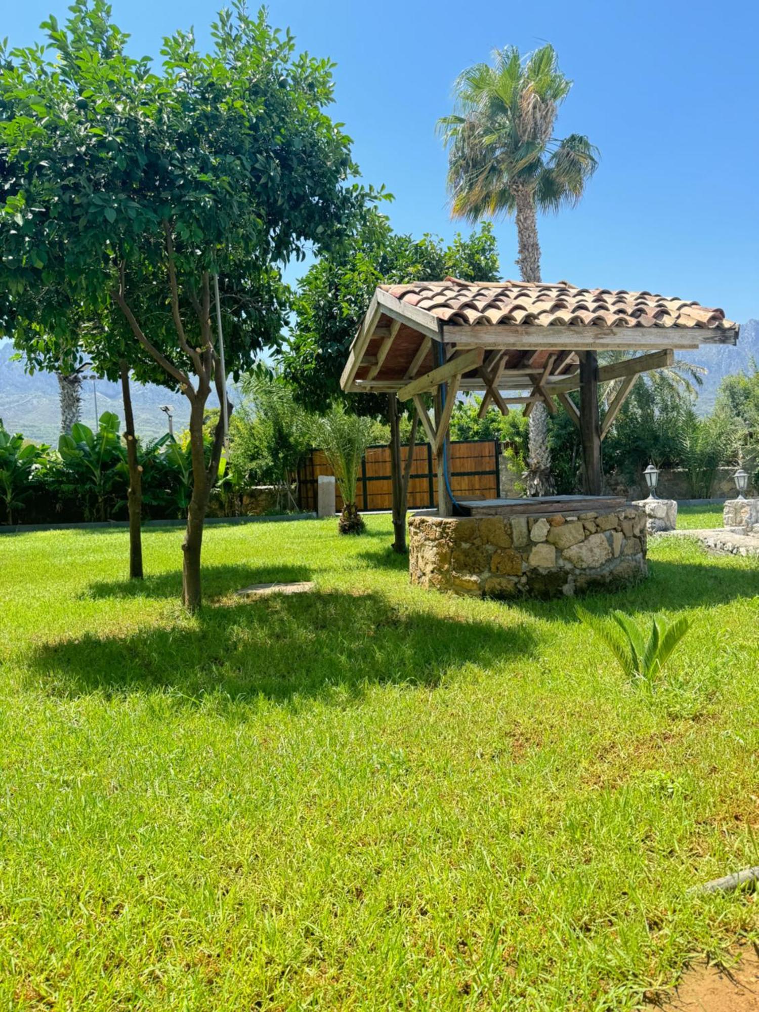 The Horse Farm Hotel Agios Georgios  外观 照片