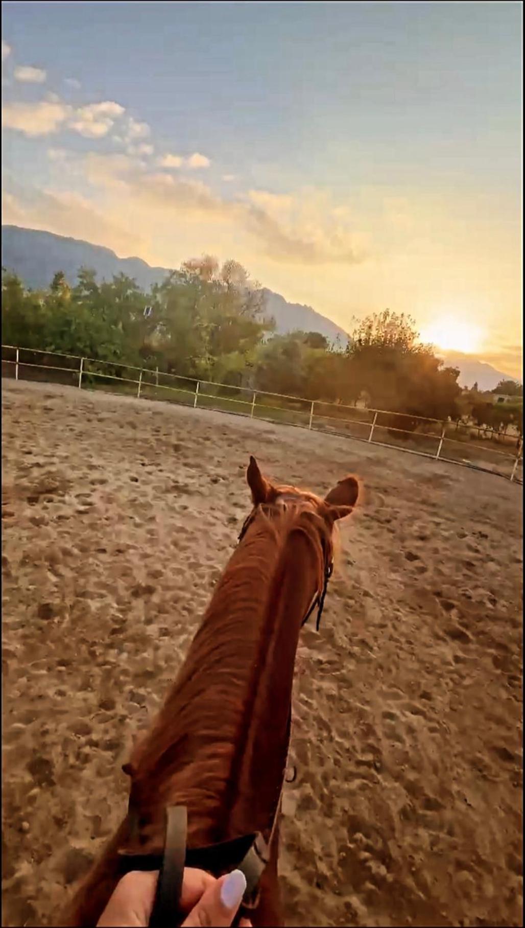The Horse Farm Hotel Agios Georgios  外观 照片